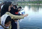 همدان| هشدار آب منطقه‌ای نسبت به آلوده‌شدن آب آشامیدنی با رهاسازی ماهی قرمز به داخل رودخانه‌ها
