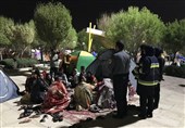 شیراز| آمار گازگرفتگی مسافران نوروزی در شیراز کاهش یافت
