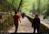 مسافران نوروزی در جنگل گلستان