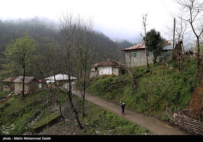 روستای تنیان