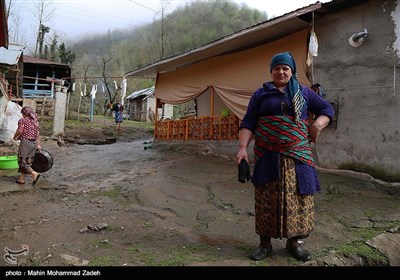 روستای تنیان