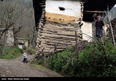 روستای تنیان