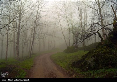 روستای تنیان