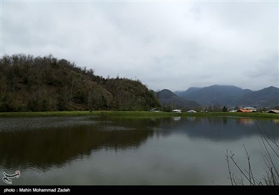 روستای تنیان