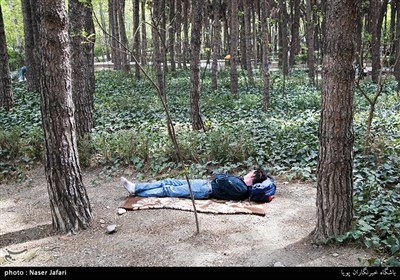 People in Iran Celebrate Nature Day