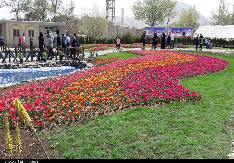 اراک| نخستین جشنواره گل لاله استان مرکزی به روایت تصویر