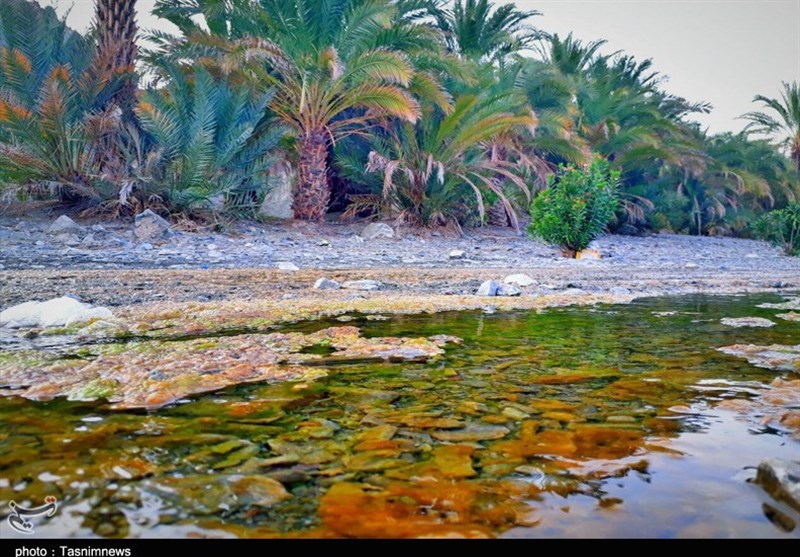 سیستان و بلوچستان| طبیعت زیبای &quot;جهلین کور&quot; به‌روایت تصویر‌