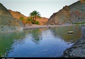 بوشهر|تفاهم‌نامه با جهاد دانشگاهی استان بوشهر در عرصه منابع آب منعقد می‌شود