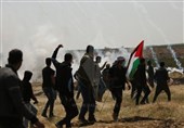 تحولات فلسطین|راهپیمایی «بازگشت»‌‌ آینده «جمعه آتش زدن پرچم اسرائیل» نام گرفت