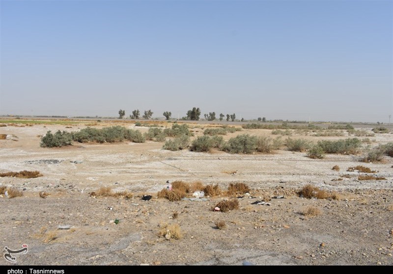 زاهدان| تیغ خشکسالی بر گلوی 120 هزار هکتار اراضی کشاورزی سیستان+ عکس