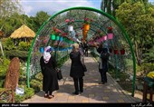 Tulips Festival Held in Iran's Karaj
