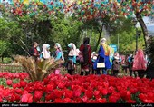 Tulips Festival Held in Iran's Karaj