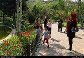 Tulips Festival Held in Iran's Karaj