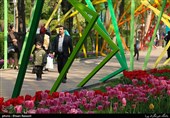 Tulips Festival Held in Iran's Karaj