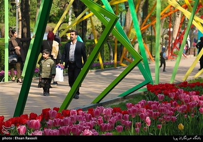 Tulips Festival Held in Iran's Karaj