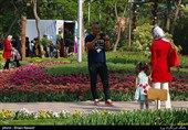 Tulips Festival Held in Iran's Karaj