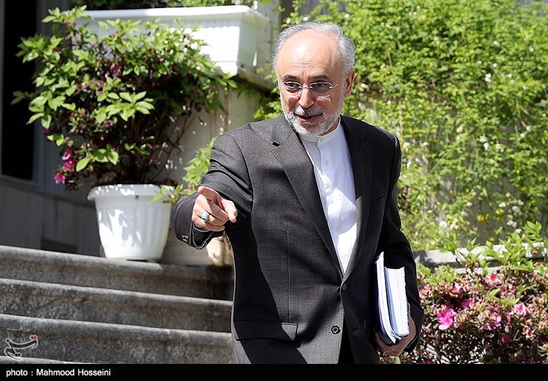 Iran to Mass-Produce Homegrown Centrifuge Machines: Nuclear Chief