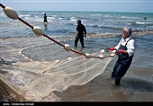 گیلان| فصل صید ماهیان استخوانی دریای خزر تا 22 فروردین تمدید شد