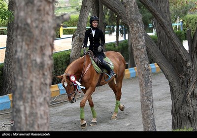  کیان‌مهر: مشکل قرنطینه اسب‌های ایرانی هنوز حل نشده است 