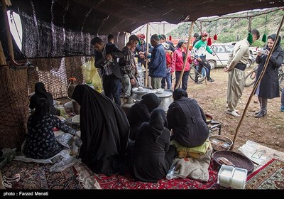 جشنواره بازیهای بومی محلی - کرمانشاه