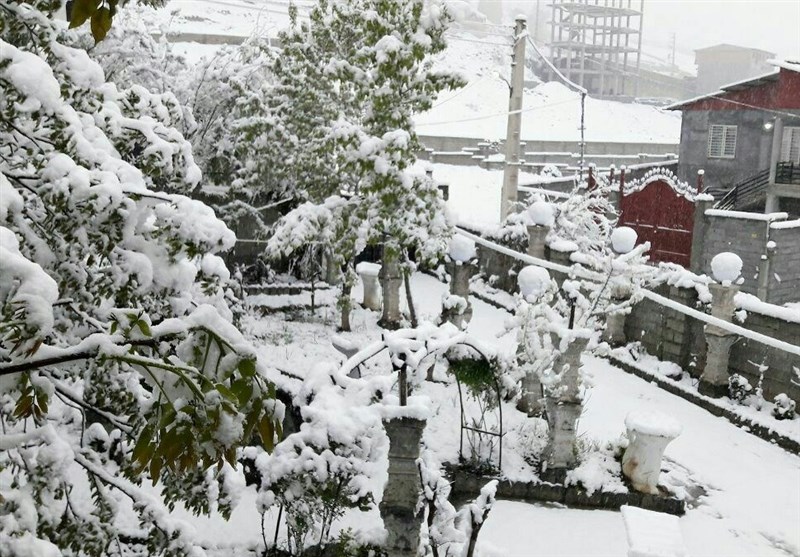 مازندران| برف بهاری کلاردشت مازندران را سفیدپوش کرد