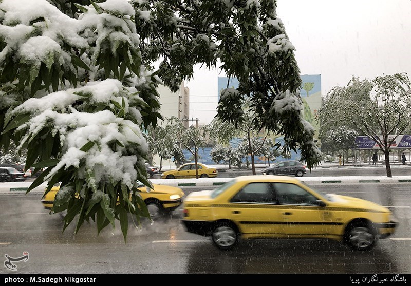 کرج|بارش برف در استان البرز تا عصر امروز ادامه دارد
