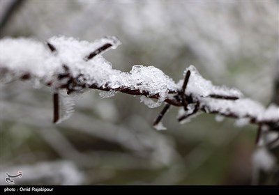 بارش برف بهاری در اشکورات گیلان