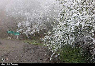 بارش برف بهاری در اشکورات گیلان