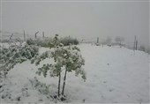 مازندران| محورهای مواصلاتی استان مازندران پوشیده از برف است