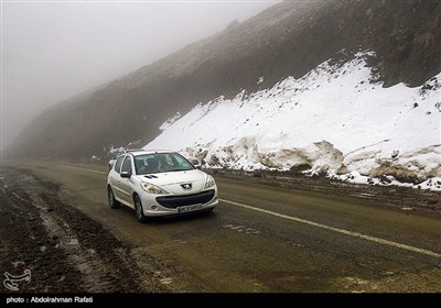 بارش برف و مه گرفتگی در ارتفاعات همدان