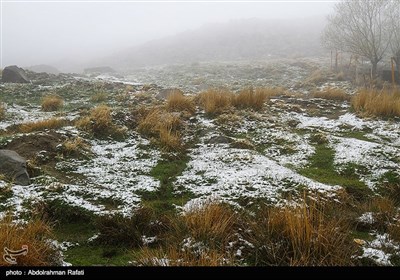 بارش برف و مه گرفتگی در ارتفاعات همدان