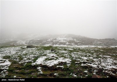 بارش برف و مه گرفتگی در ارتفاعات همدان