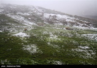 بارش برف و مه گرفتگی در ارتفاعات همدان