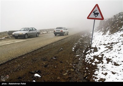 بارش برف و مه گرفتگی در ارتفاعات همدان