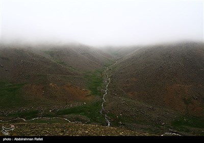 بارش برف و مه گرفتگی در ارتفاعات همدان