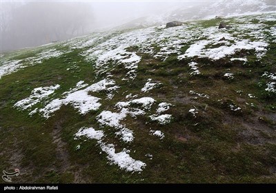 بارش برف و مه گرفتگی در ارتفاعات همدان