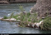 خوزستان| پروژه بزرگ زیست محیطی در خرمشهر افتتاح میشود