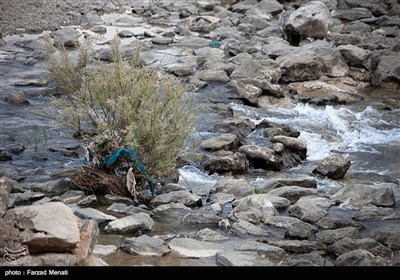 بحران زیست محیطی رودخانه گاماسیاب - کرمانشاه