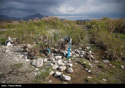 بحران زیست محیطی رودخانه گاماسیاب - کرمانشاه