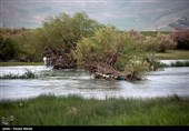 سمنان| 2 طرح ملی &quot;زیست‌محیطی &quot; ویژه دانش‌آموزان استان سمنان اجرایی می‌شود