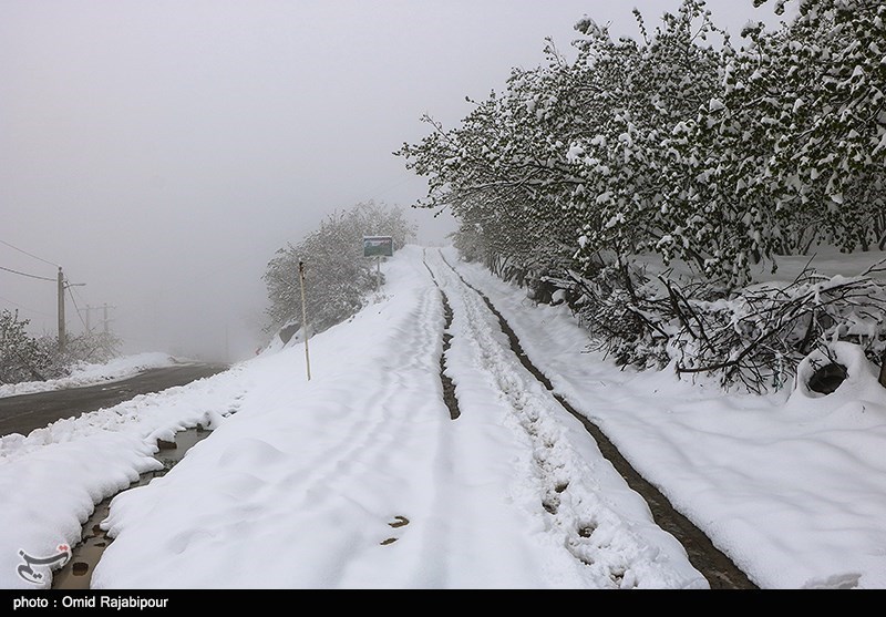 فیلم/ جاده شمشک به دیزین در تهران سفیدپوش شد
