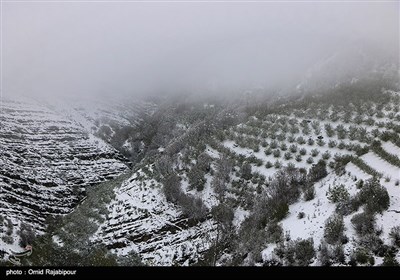 بارش برف بهاری -گیلان