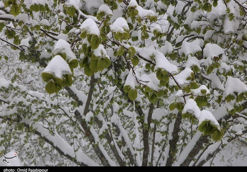پاکستان: کہیں گرمی کہیں سردی، بالایی علاقوں کی حسین وادیوں میں برفباری