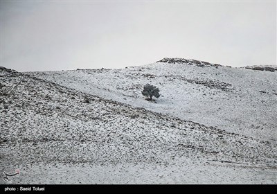 بارش برف در ارتفاعات خراسان شمالی