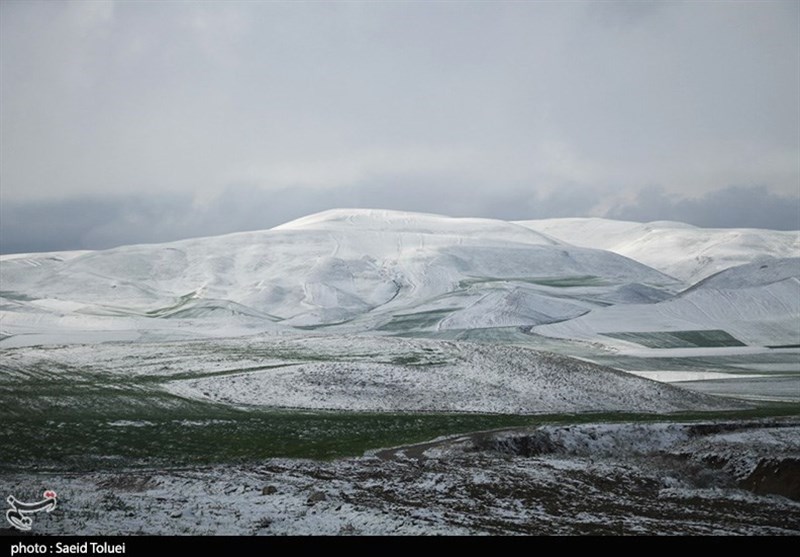 بجنورد| تلفیق سحرانگیز &quot;برف&quot; و &quot;بهار&quot; در ارتفاعات خراسان شمالی به روایت تصویر
