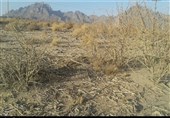 پاکستان میں محکمہ موسمیات نے خشک سالی الرٹ جاری کر دیا