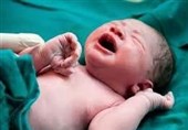 تولد 44 نوزاد در پلدختر پس از وقوع سیل