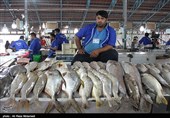 بازار عرضه آبزیان در کرمانشاه راهاندازی میشود