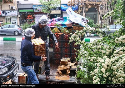 بارش باران در تهران