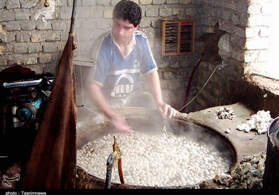 ۸۰ درصد نخ کشور را تربت حیدریه تولید میکند؛ واردات تخم نوغان از چین به جای تولید در ایران